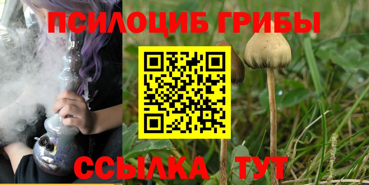 Галлюциногенные грибы мицелий Ангарск
